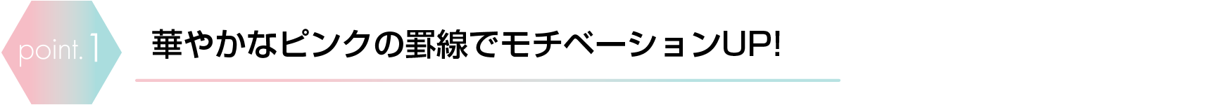 華やかなピンクの罫線でモチベーションUP!