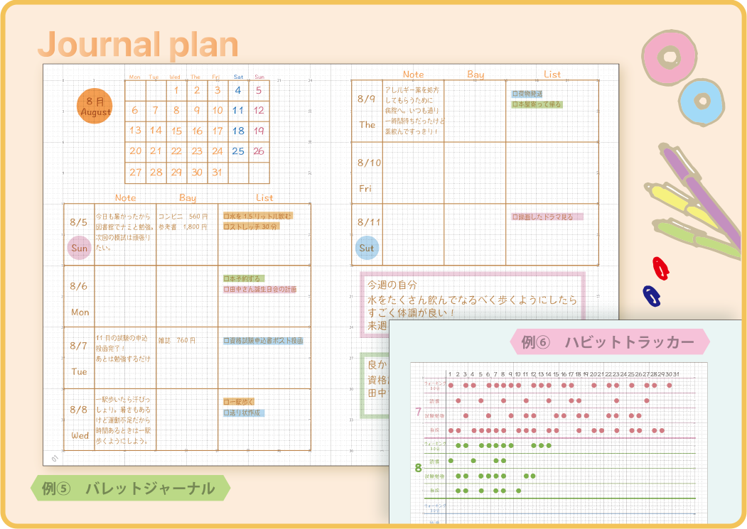 Journal plan