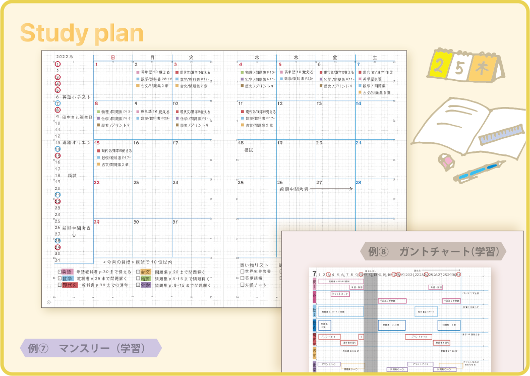 Study plan